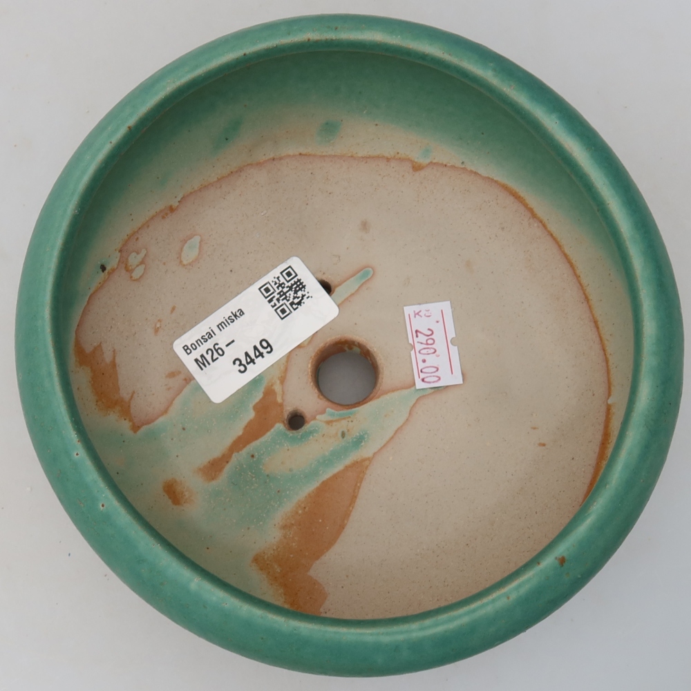 Pot à bonsaï en céramique 15 x 15 x 6,5 cm, couleur verte