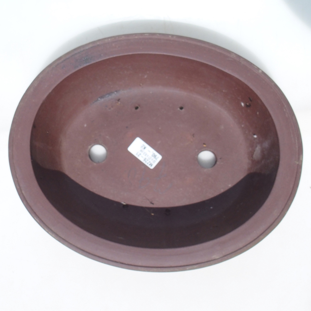 Bol pour bonsaï 33 x 27 x 8,5 cm bouleau brun