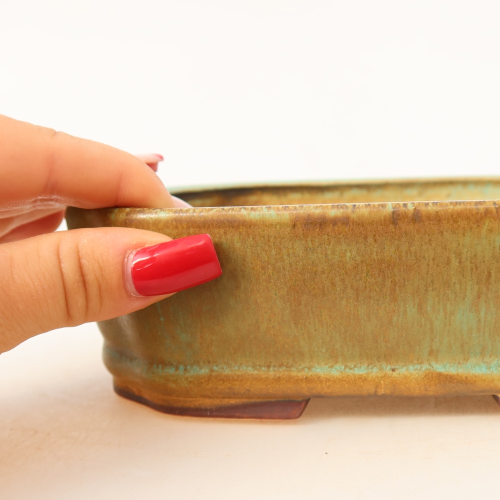 Bol à bonsaï en céramique 17,5 x 14,5 x 5 cm, vert
