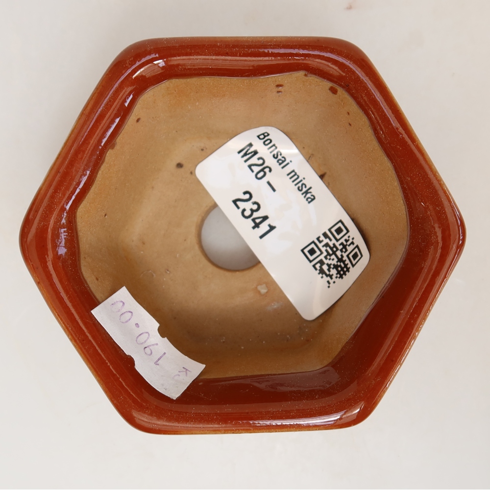 Bol à bonsaï en céramique 7,5 x 7 x 4 cm, brun