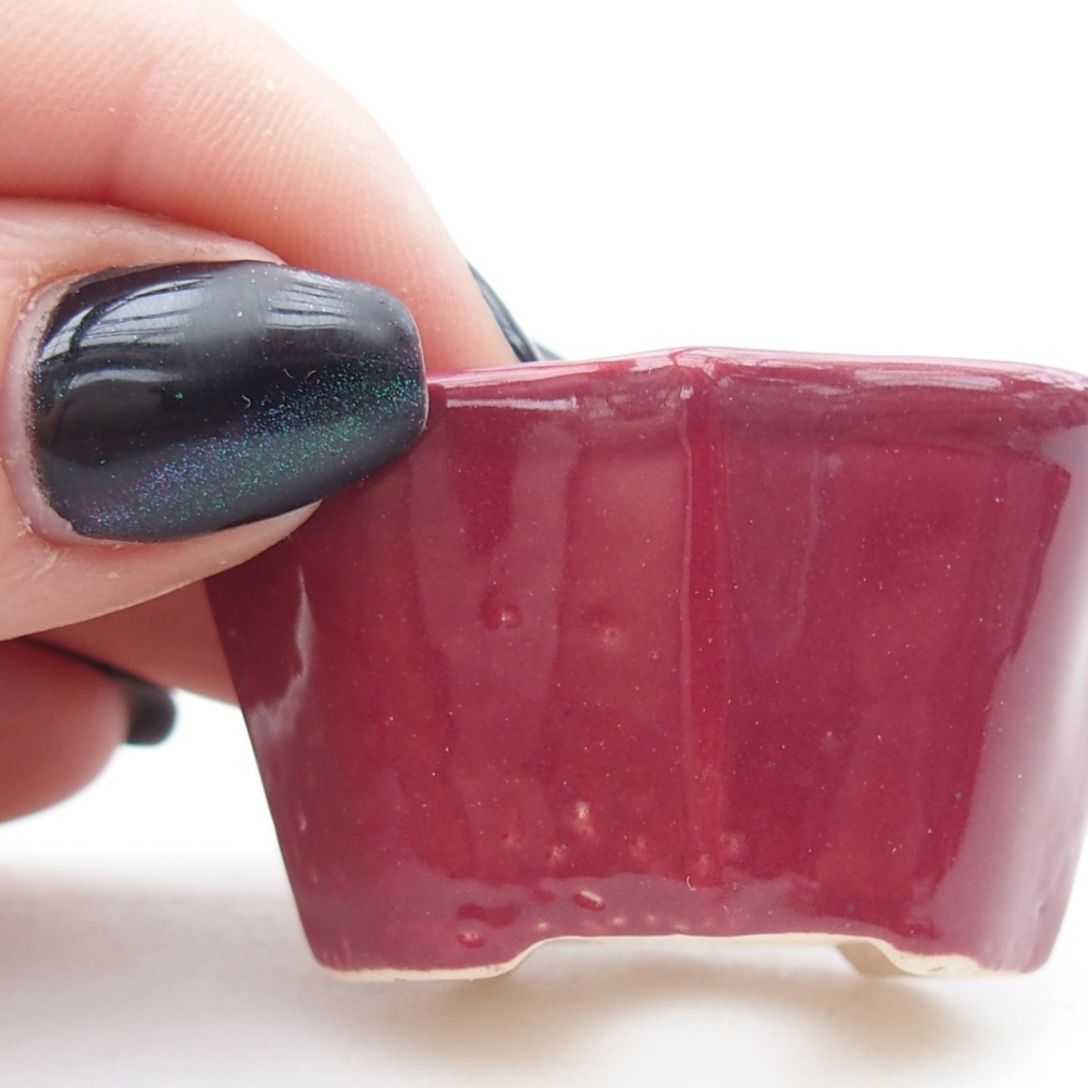 Mini bol bonsaï 4,5 x 3 x 2,5 cm, bordeaux