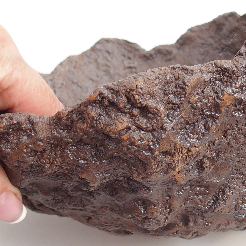 Coquille en céramique 25 x 21 x 21 cm , couleur marron