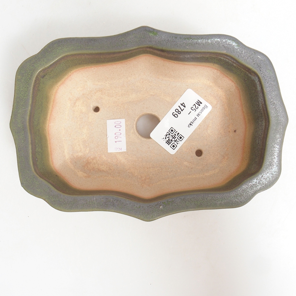 Bol à bonsaï en céramique 15,5 x 11,5 x 4,5 cm, vert