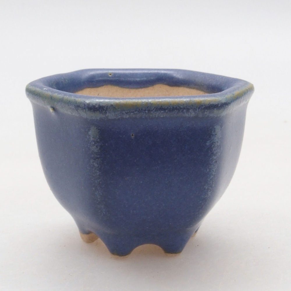 Mini bol bonsaï 4 x 3,5 x 3 cm, couleur bleu