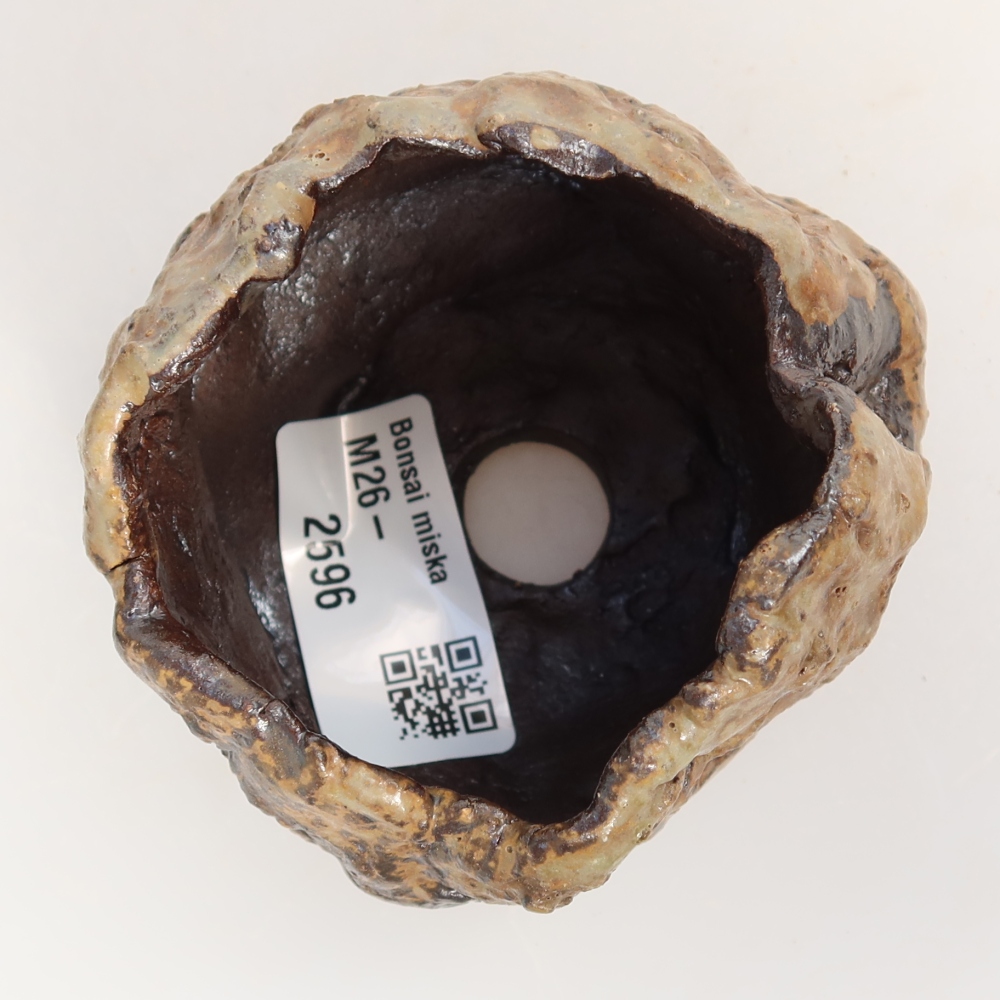 Coquille en céramique  7,5 x 6,5 x 6 cm , couleur marron