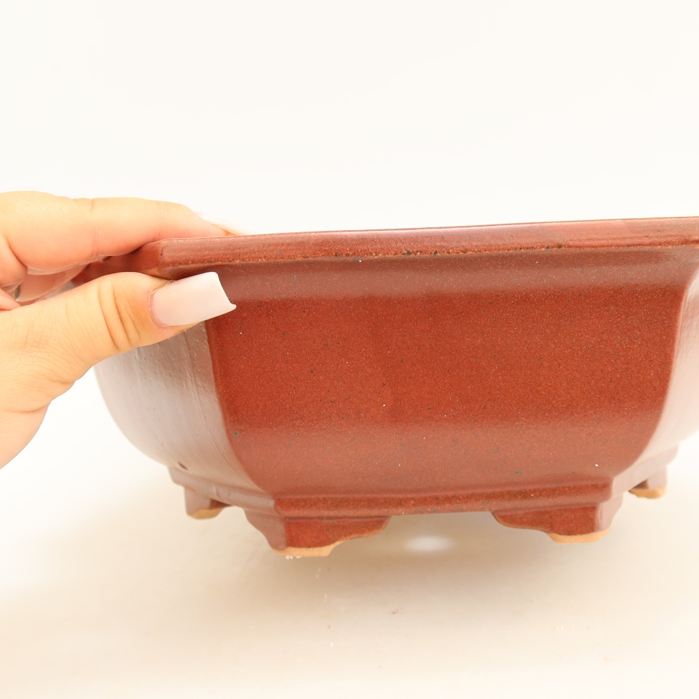 Pot à bonsaï en céramique 28 x 24,5 x 9 cm, couleur bordeaux