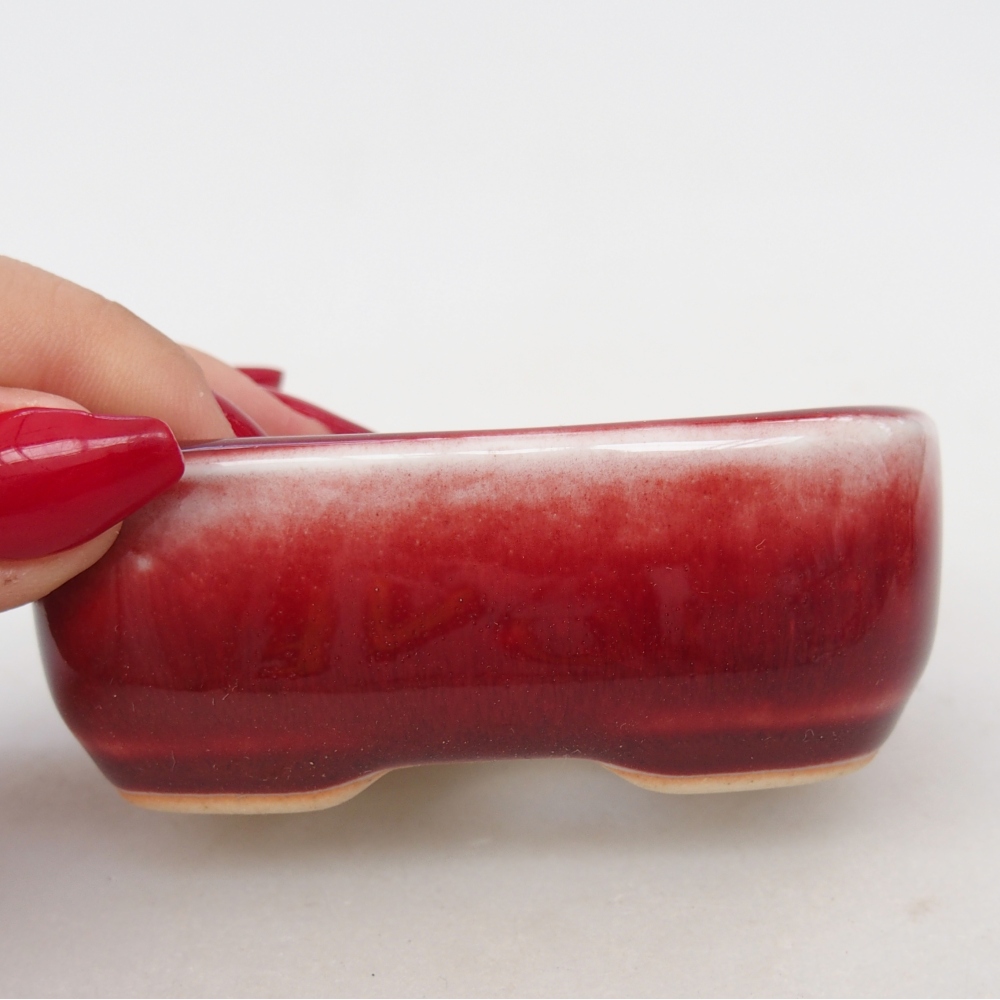 Mini bol bonsaï 8 x 6 x 3 cm, couleur rouge