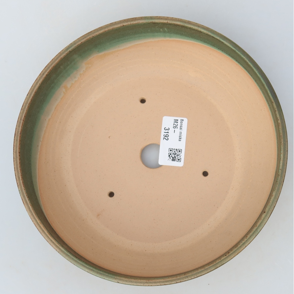 Pot à bonsaï en céramique 19,5 x 19,5 x 5,5 cm, couleur verte
