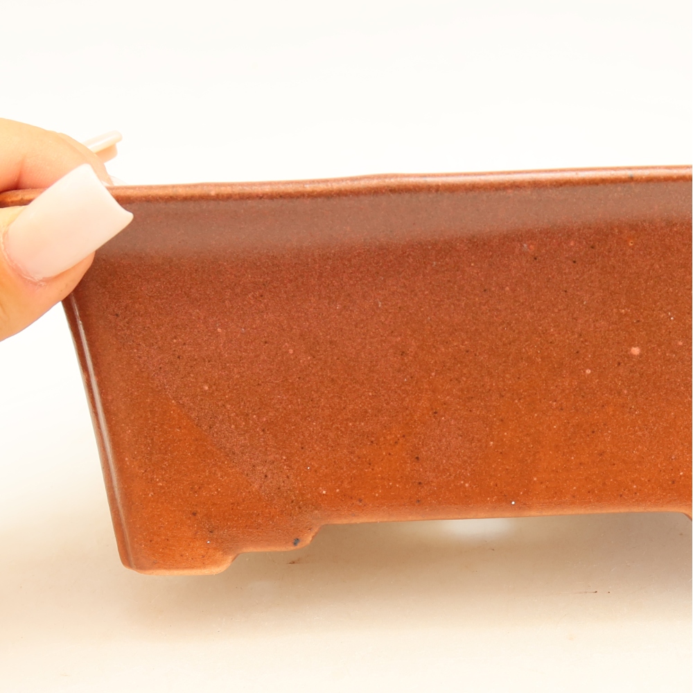 Pot à bonsaï en céramique 18 x 14 x 7 cm, couleur bordeaux