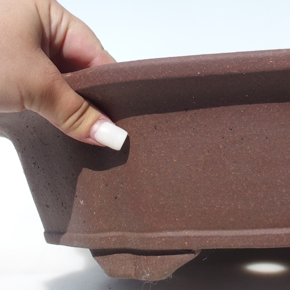 Bol pour bonsaï 38 x 38 x 10,5 cm bouleau brun