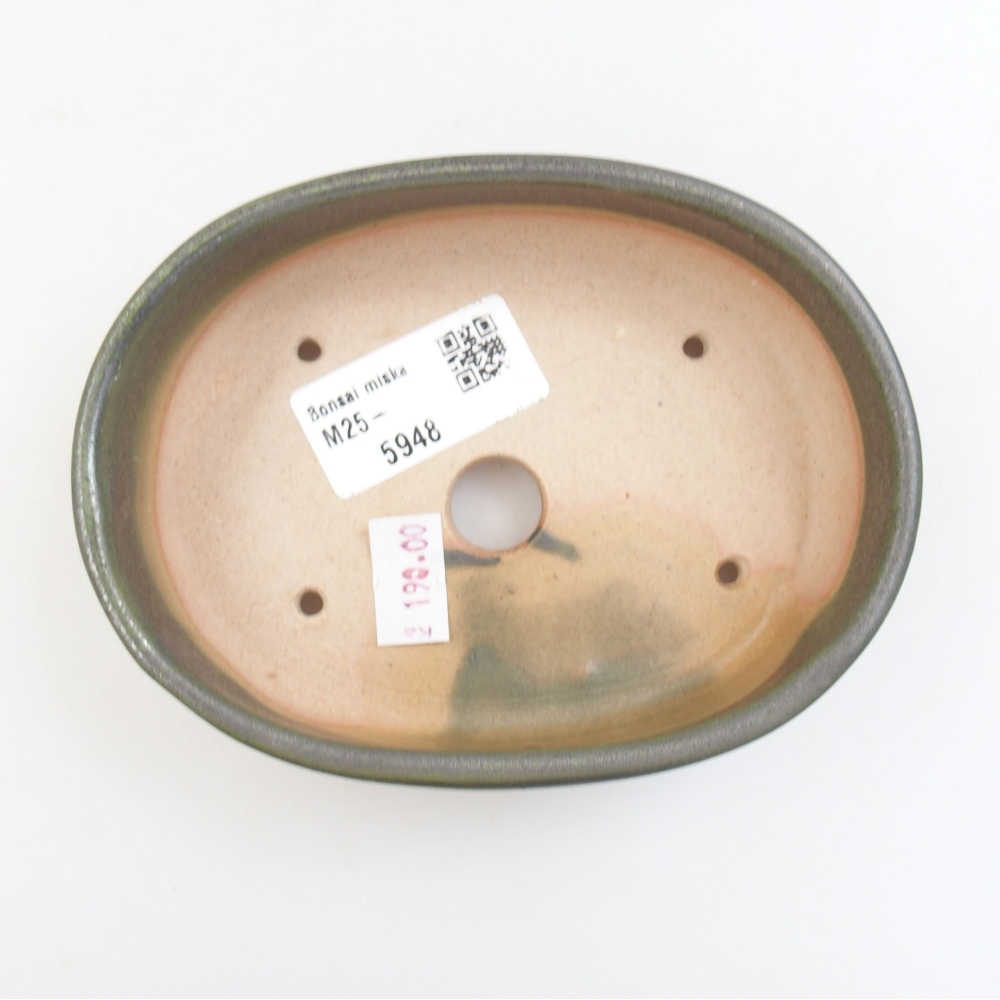 Bol à bonsaï en céramique 22 x 17 x 5 cm, vert