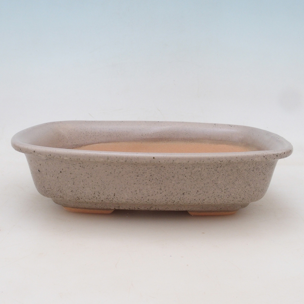 Bol à bonsaï H02 - 19 x 13 x 5 cm.