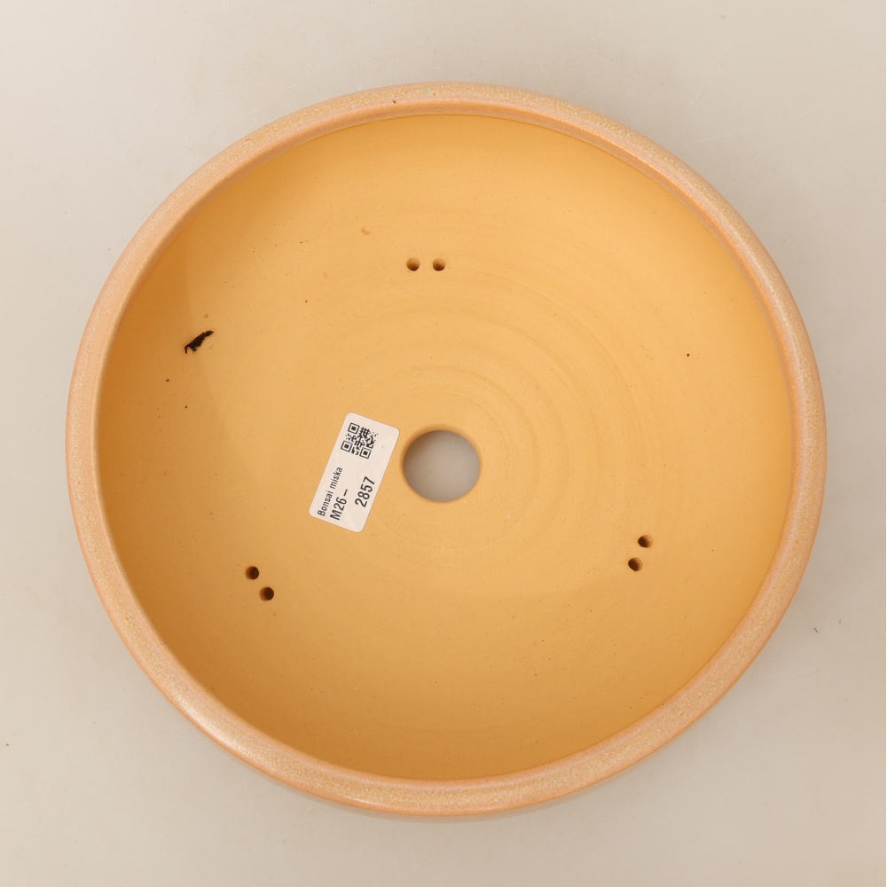 Pot à bonsaï en céramique 23 x 23 x 7 cm, couleur beige
