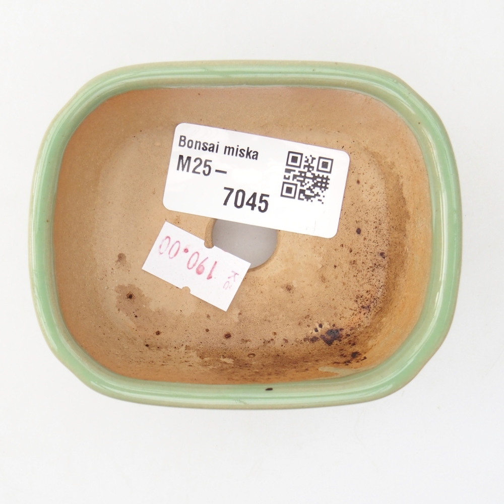 Bol à bonsaï en céramique 8,5 x 7 x 3,5 cm, vert