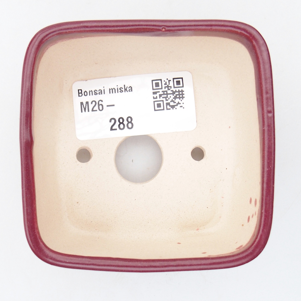 Mini bol bonsaï 7 x 7 x 4 cm, bordeaux
