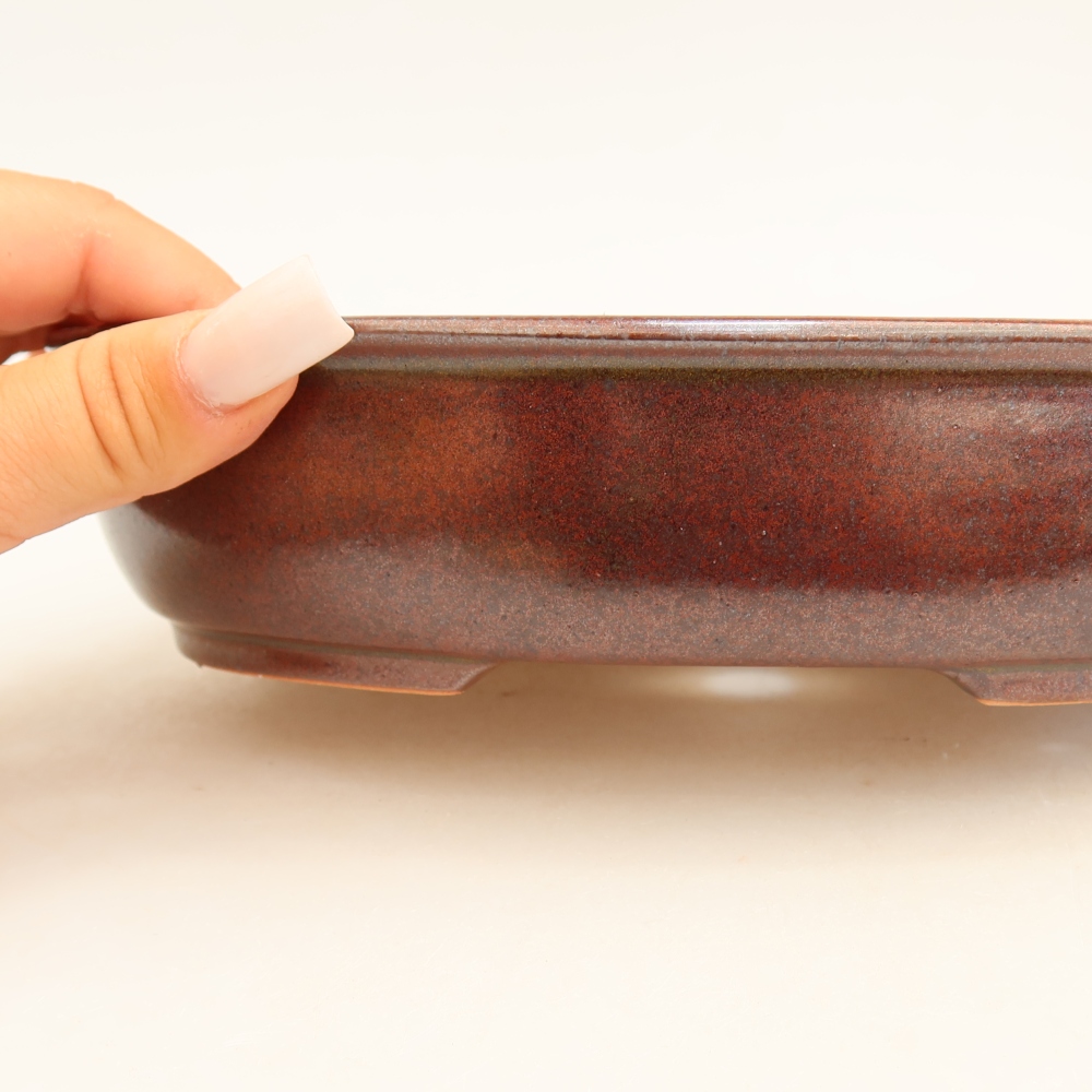 Pot à bonsaï en céramique 22 x 17 x 5 cm, couleur bordeaux
