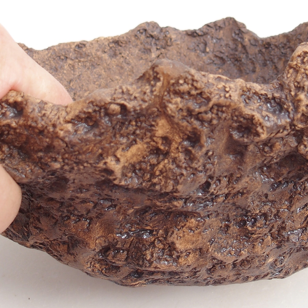 Coquille en céramique 24 x 20 x 16,5 cm , couleur marron