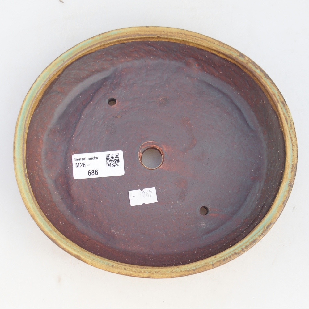 Bol à bonsaï en céramique 21 x 19 x 4,5 cm, vert