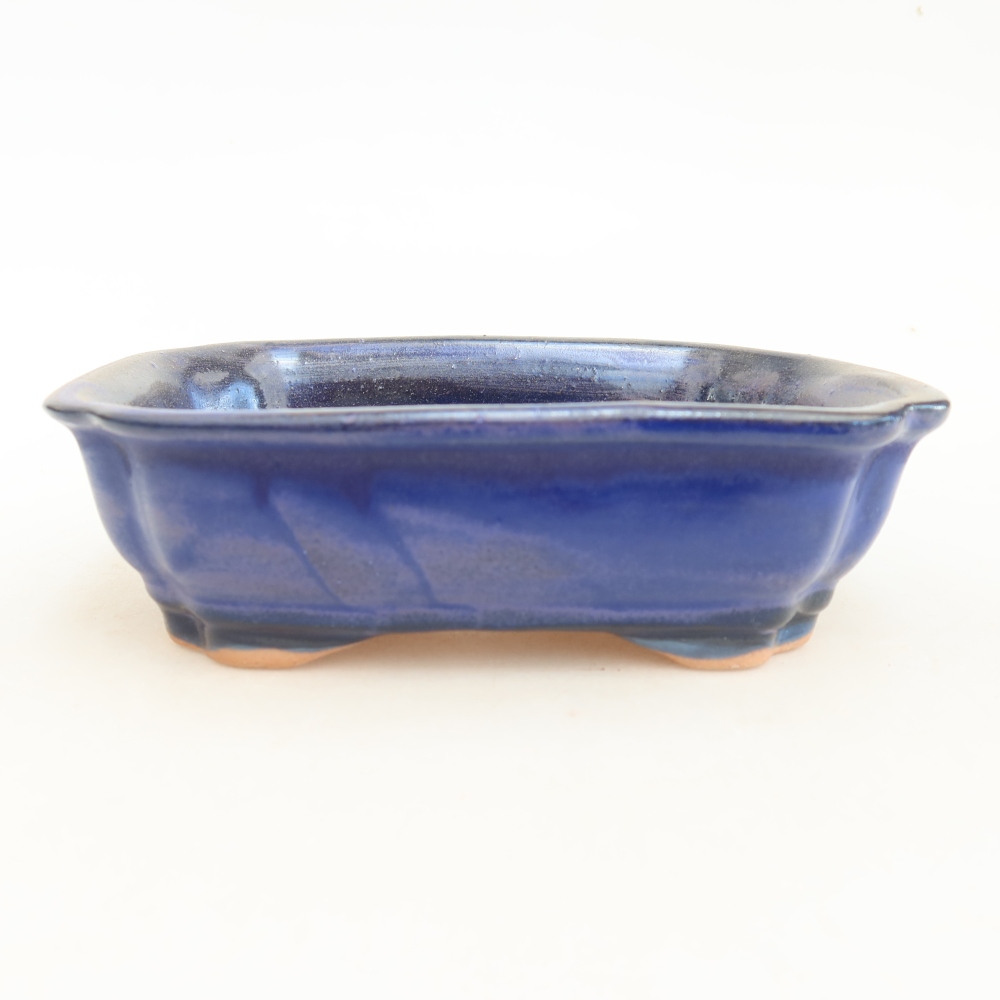 Bol à bonsaï en céramique 15,5 x 12 x 4,5 cm, couleur bleu
