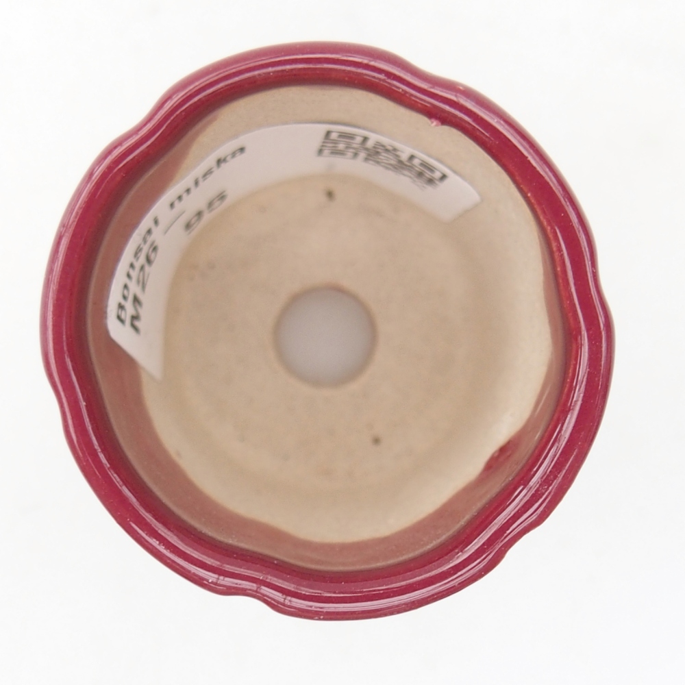 Mini bol bonsaï 4 x 4 x 4,5 cm, bordeaux