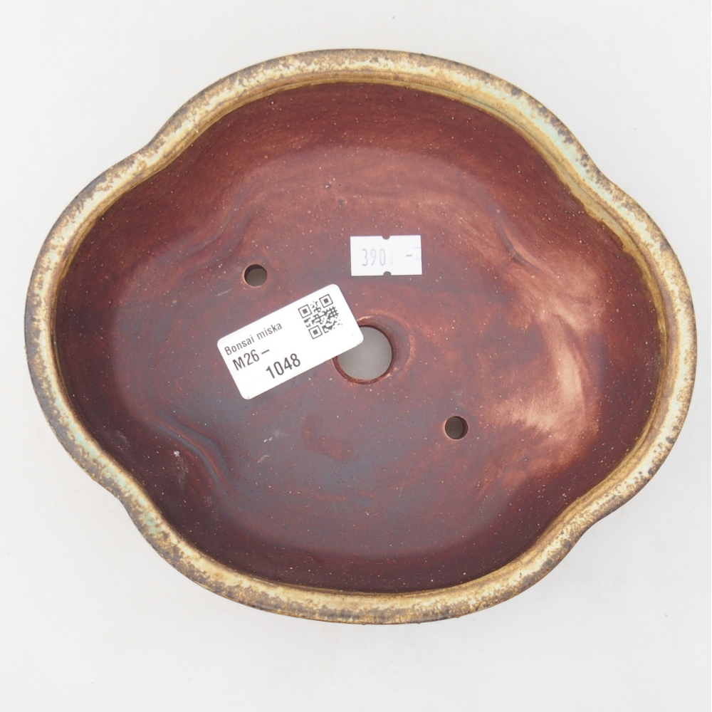 Bol à bonsaï en céramique 17 x 15,5 x 5,5 cm, vert