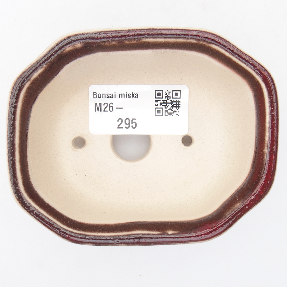Mini bol bonsaï 9 x 7 x 3,5 cm, couleur rouge