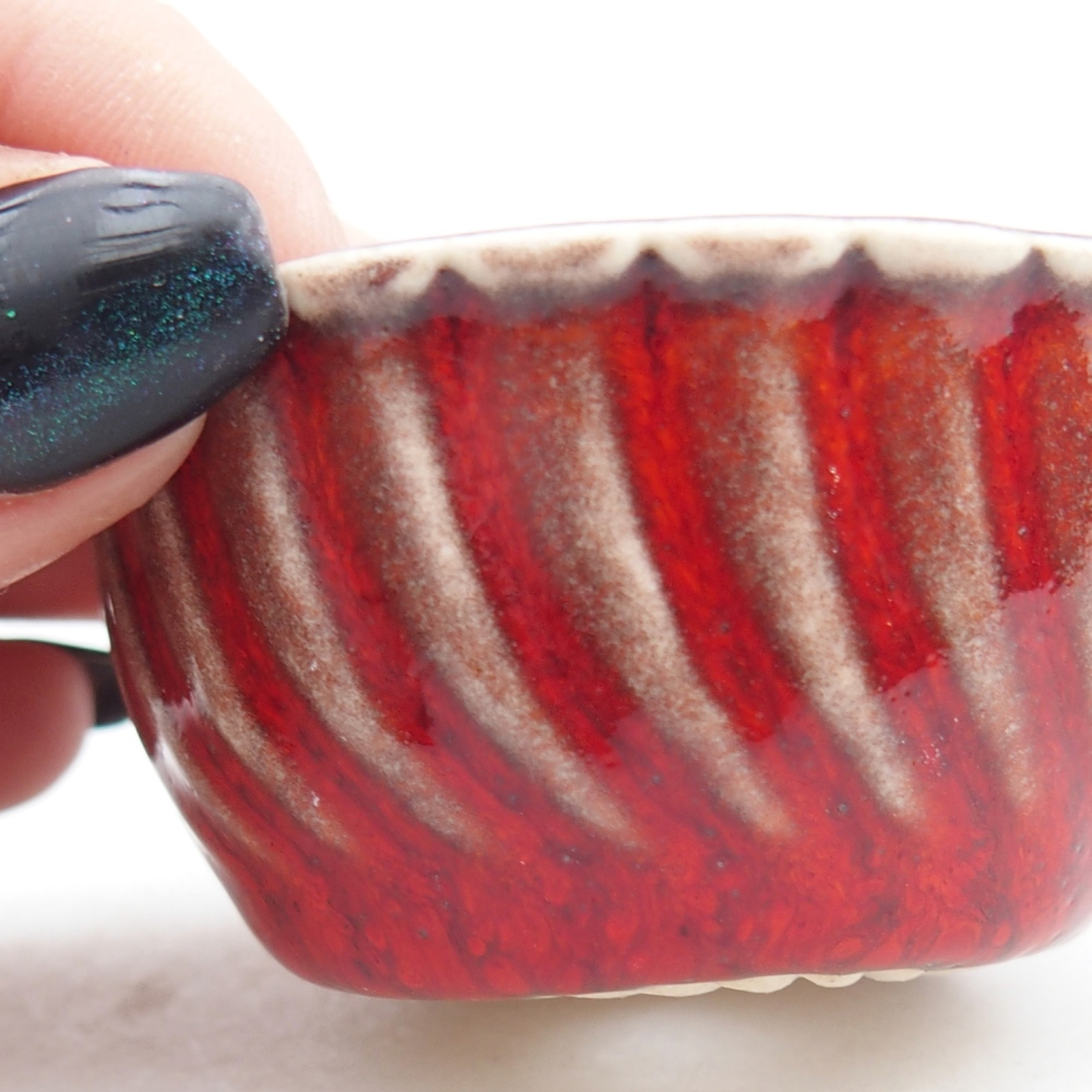 Mini bol bonsaï 5,5 x 5,5 x 2,5 cm, couleur rouge