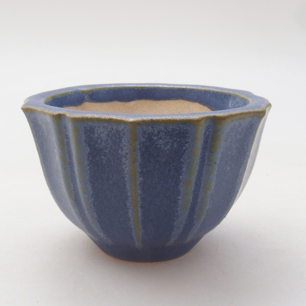 Mini bol bonsaï 5 x 5 x 3 cm, bleu