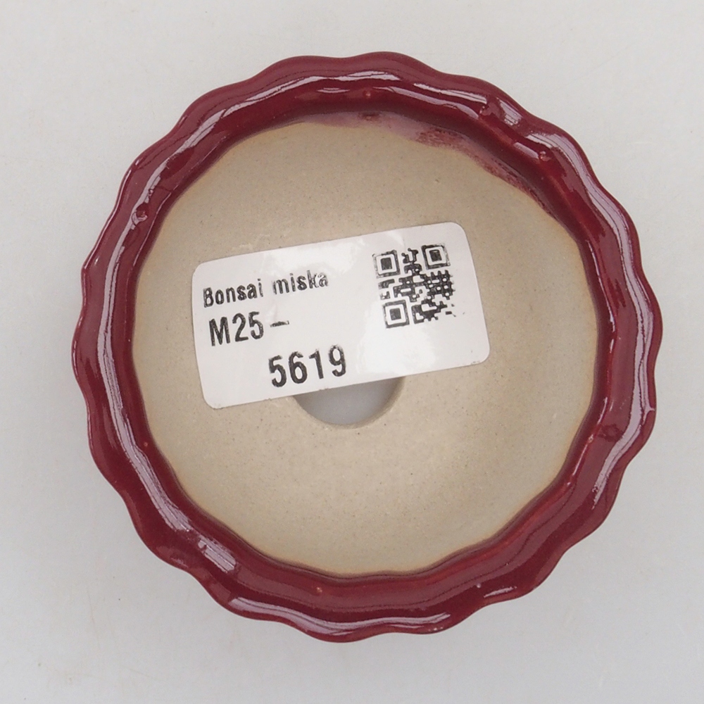 Mini bol bonsaï 6,5 x 6,5 x 3,5 cm, bordeaux