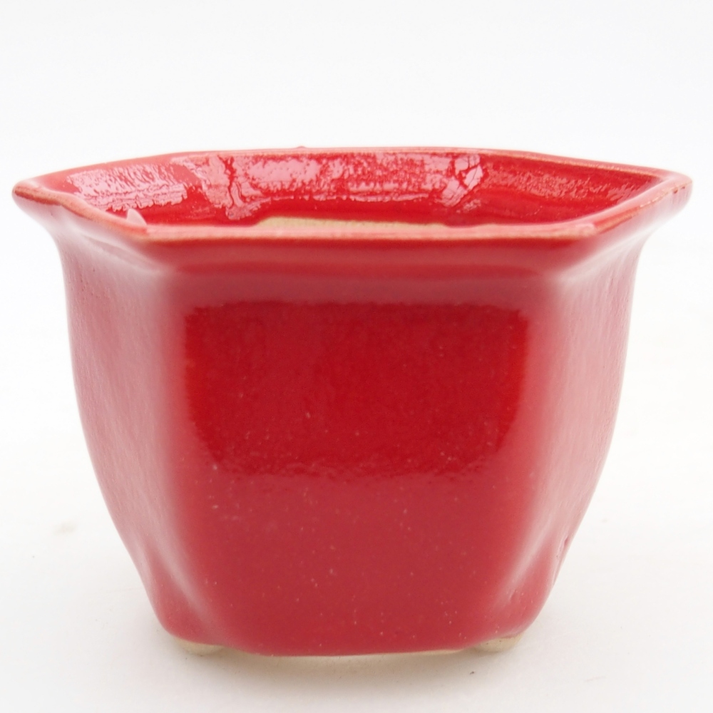 Mini bol bonsaï 7 x 6,5 x 5 cm, couleur rouge