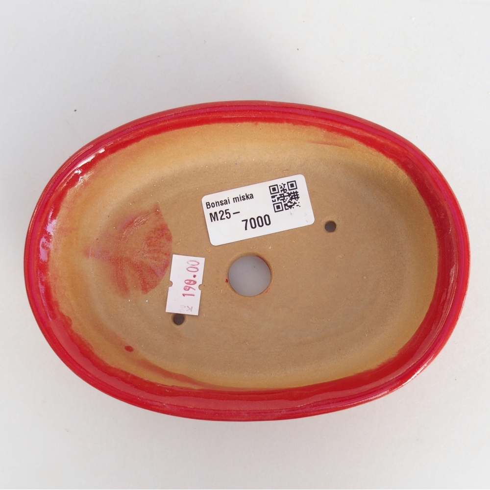 Bol à bonsaï en céramique 15 x 10,5 x 3,5 cm, couleur rouge