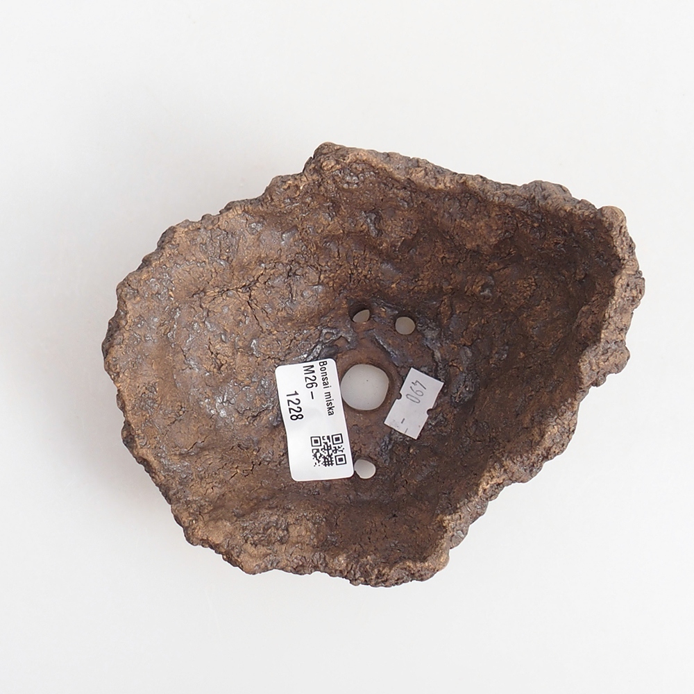 Coquille en céramique 13 x 11 x 11 cm , couleur marron