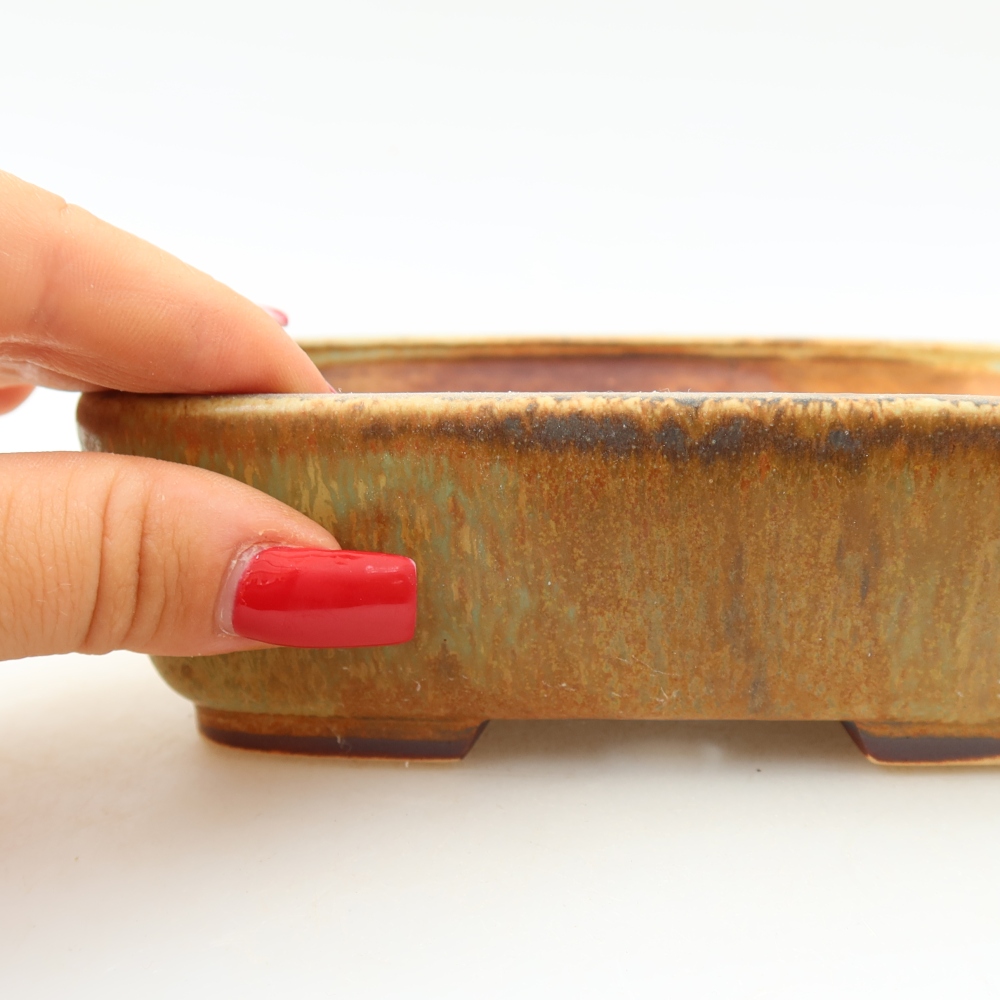 Pot à bonsaï en céramique 14 x 11,5 x 4,5 cm, couleur verte
