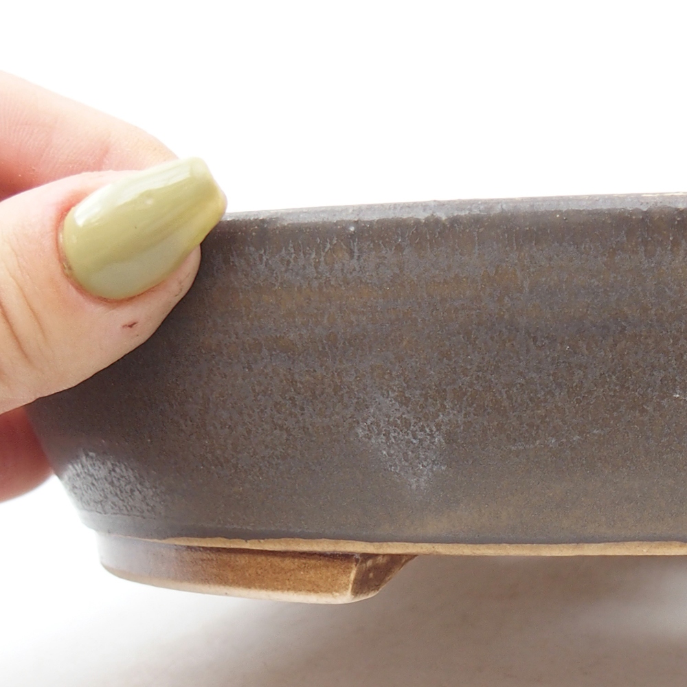 Bol à bonsaï en céramique 20,5 x 18,5 x 4 cm, brun