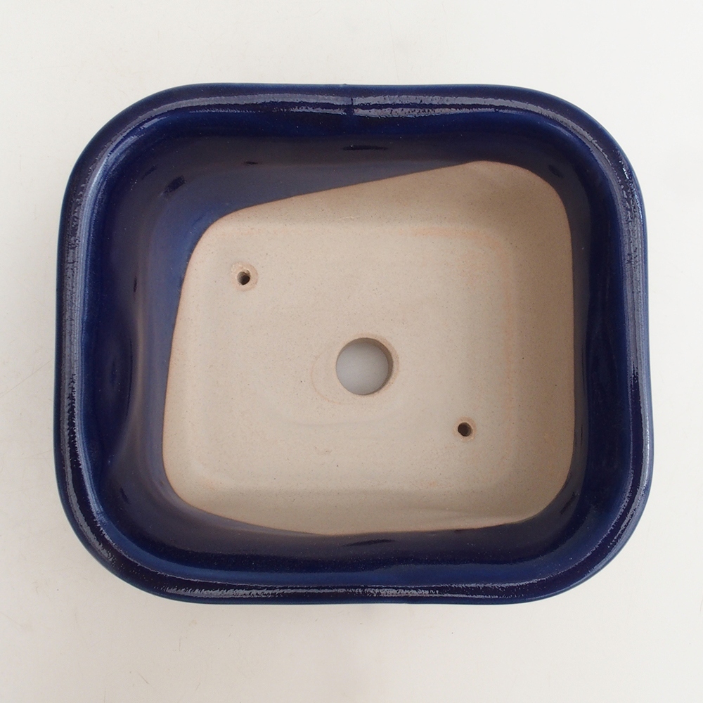 Coupe Bonsaï H36 - 17 x 15 x 7,5 cm - bleu