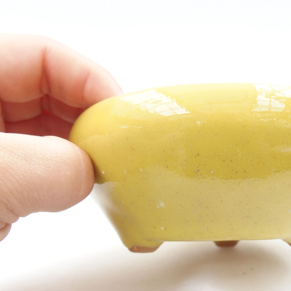 Bol à bonsaï en céramique 22 x 17 x 5 cm, vert