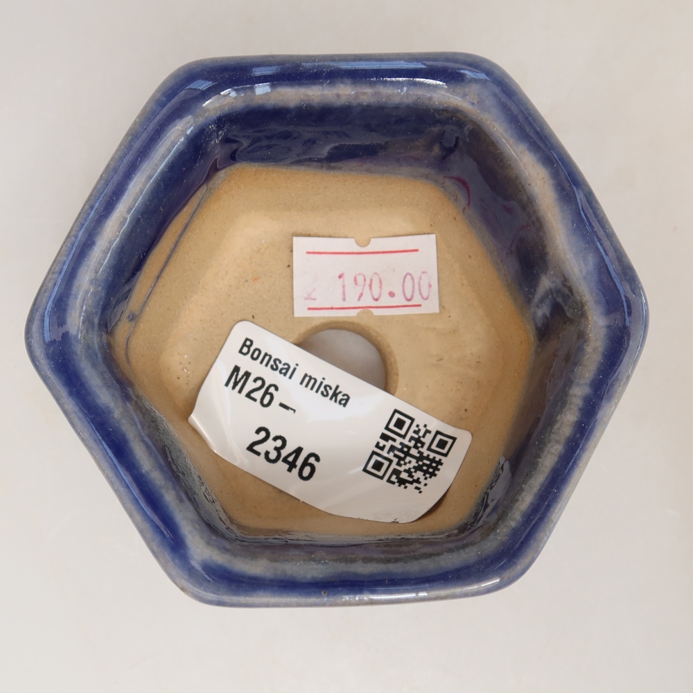 Bol à bonsaï en céramique 7,5 x 7 x 4 cm, couleur bleu