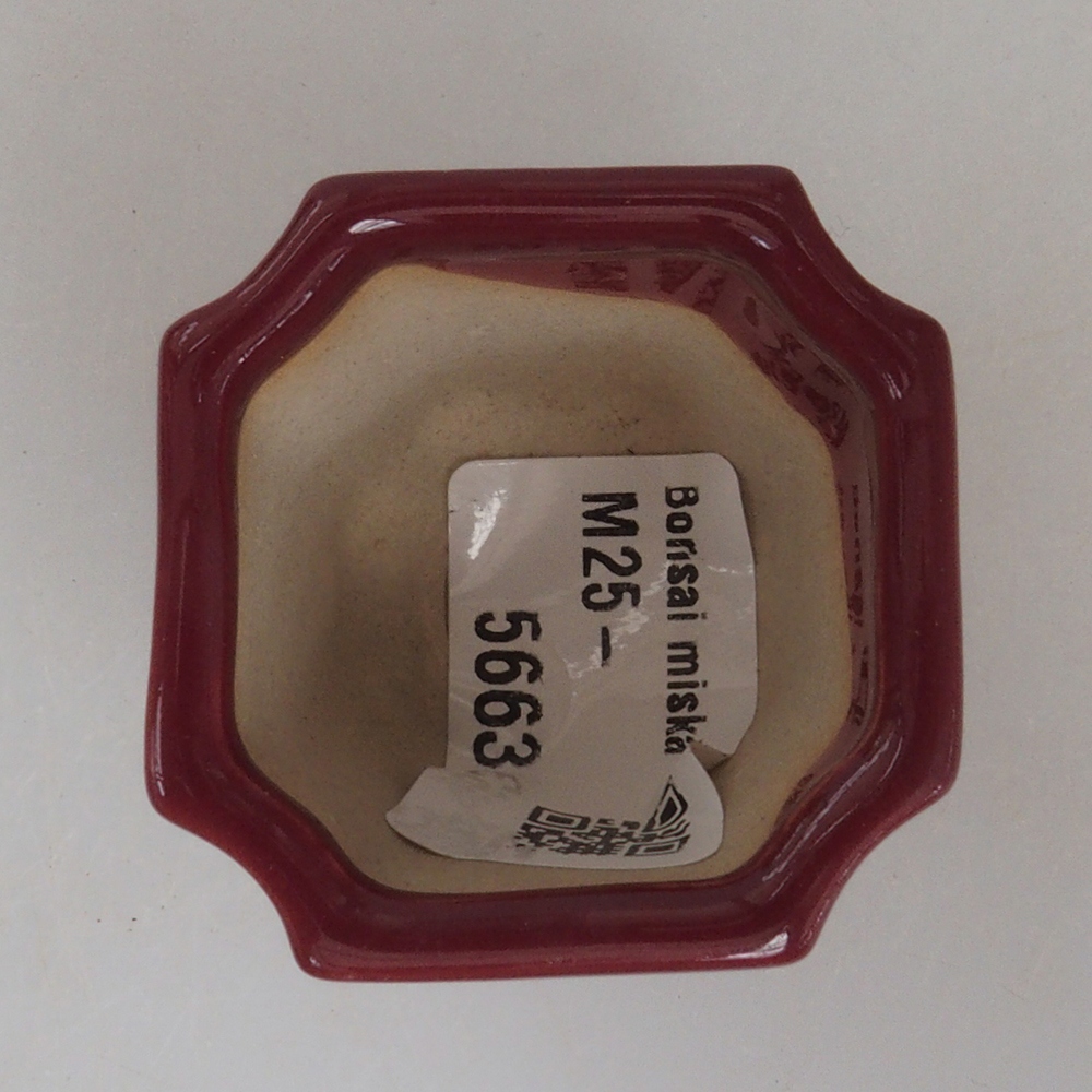 Mini bol bonsaï 4 x 4 x 3,5 cm, bordeaux