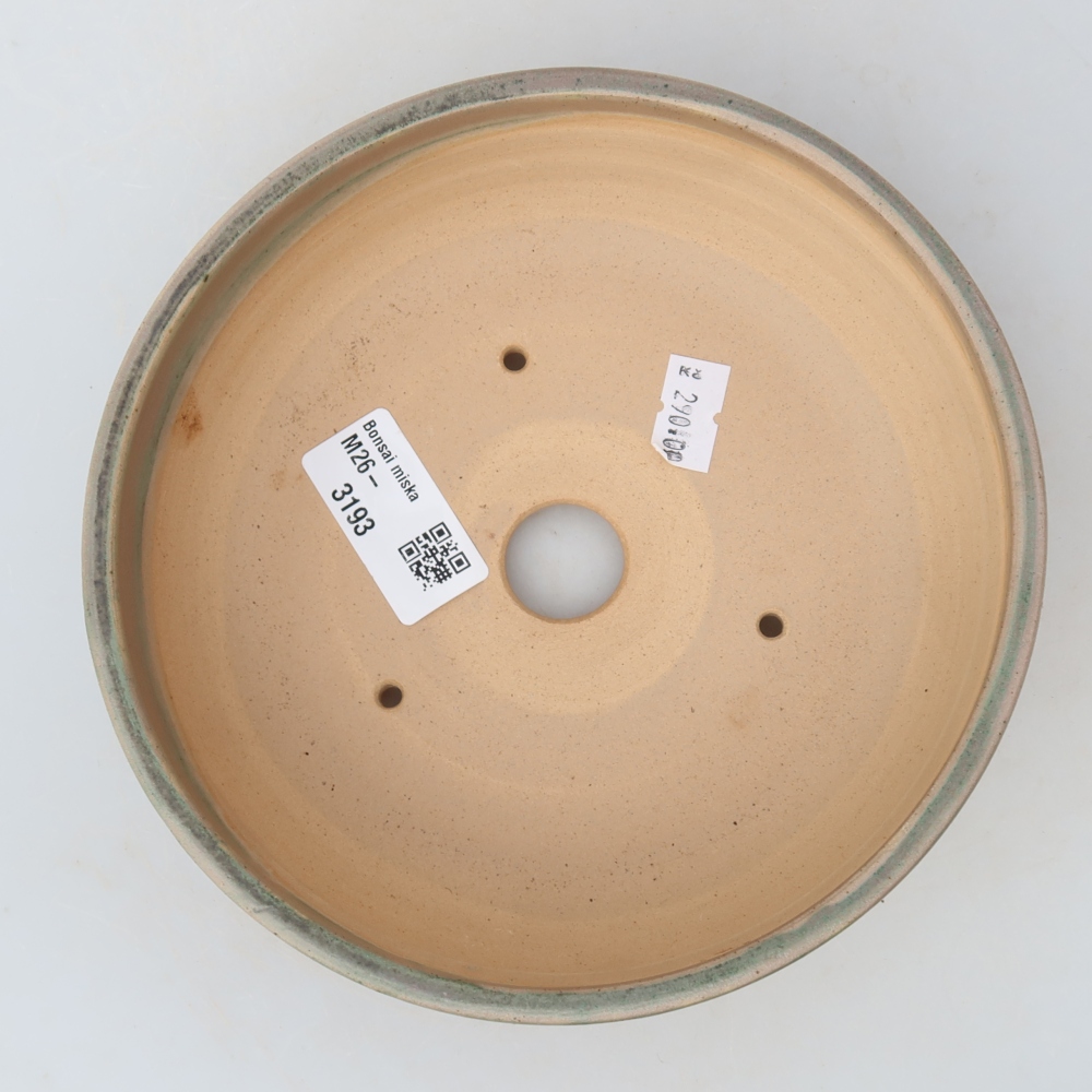 Pot à bonsaï en céramique 16,5 x 16,5 x 5 cm, couleur beige