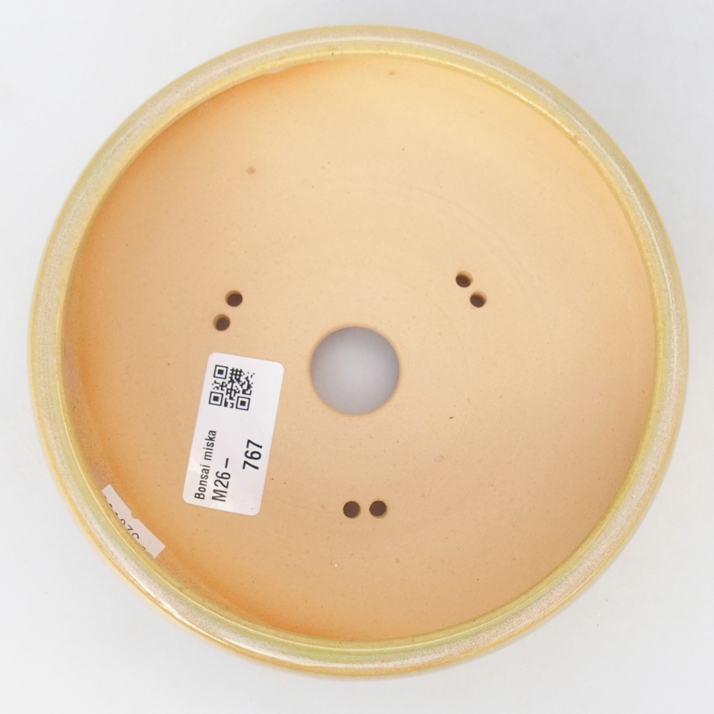 Bol à bonsaï en céramique 15 x 15 x 5,5 cm, jaune-vert
