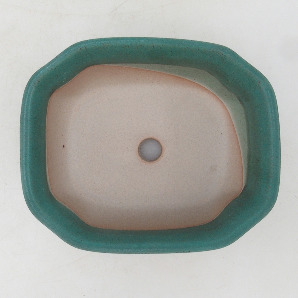 Bol à bonsaï H32 - 13 x 10 x 5,5 cm - vert