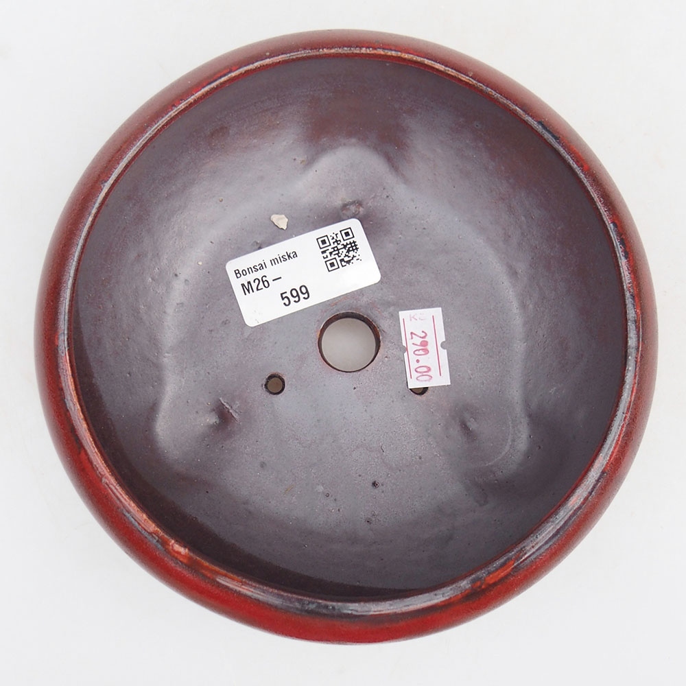 Bol à bonsaï en céramique 14 x 14 x 6,5 cm, couleur rouge