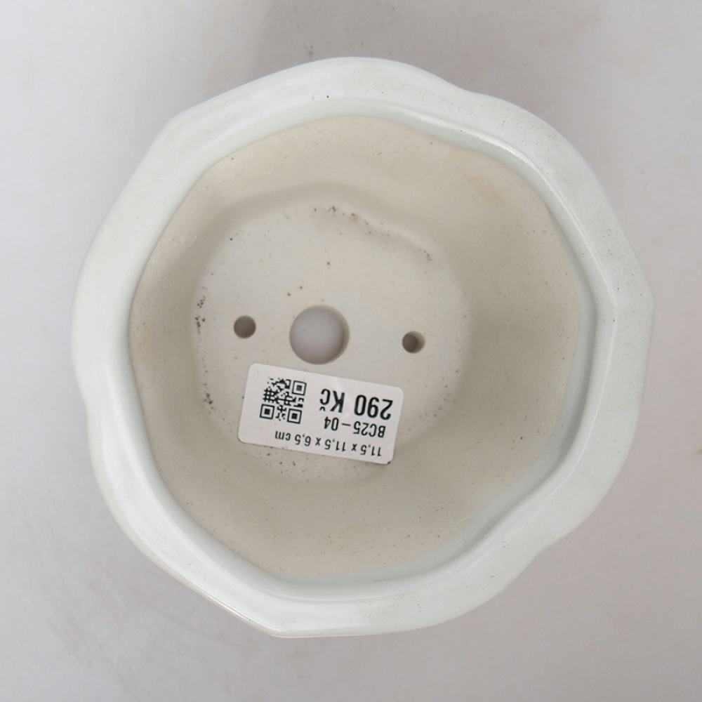 Bol à bonsaï en céramique 11,5 x 11,5 x 6 cm, blanc