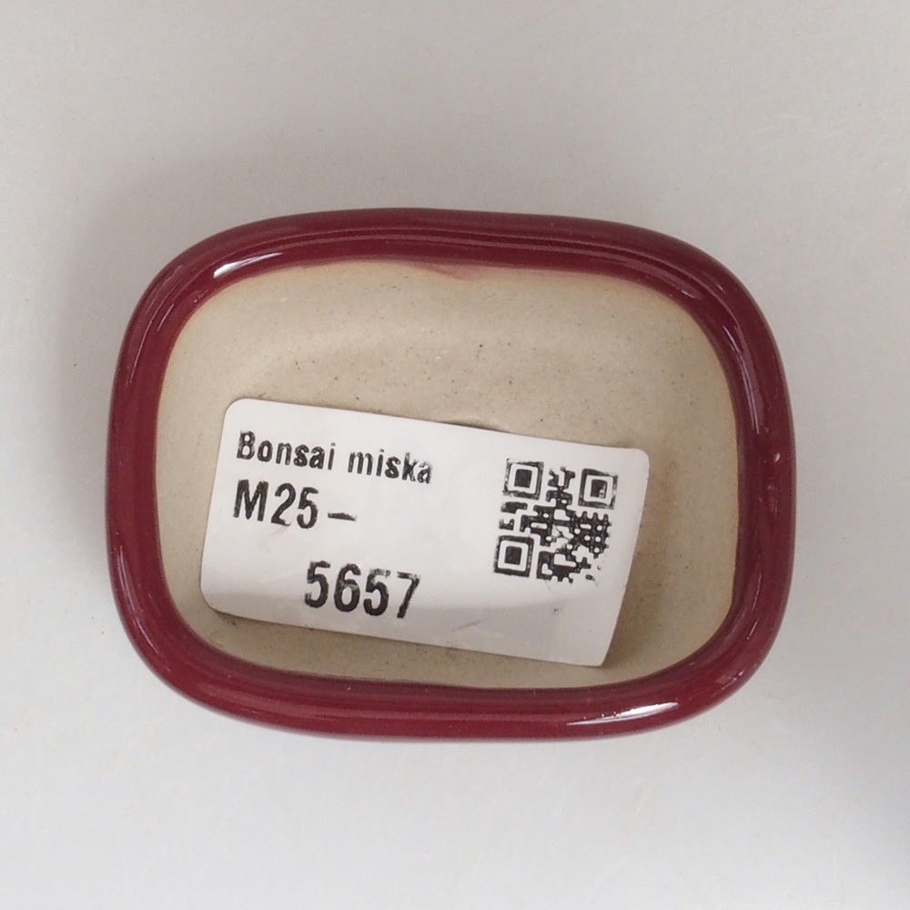 Mini bol bonsaï 5,5 x 4,5 x 2 cm, bordeaux