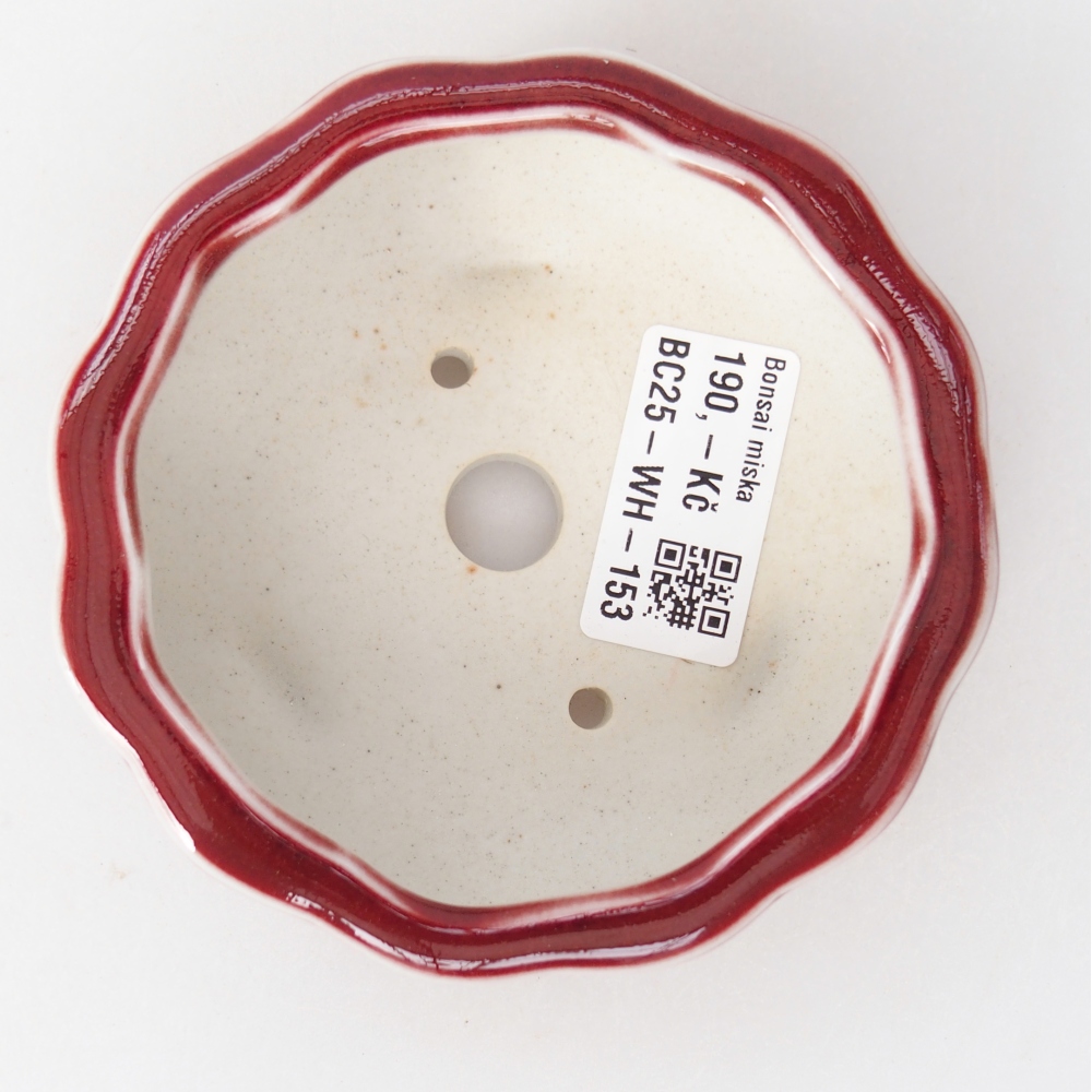 Bol à bonsaï en céramique 10 x 10 x 4 cm, couleur rouge