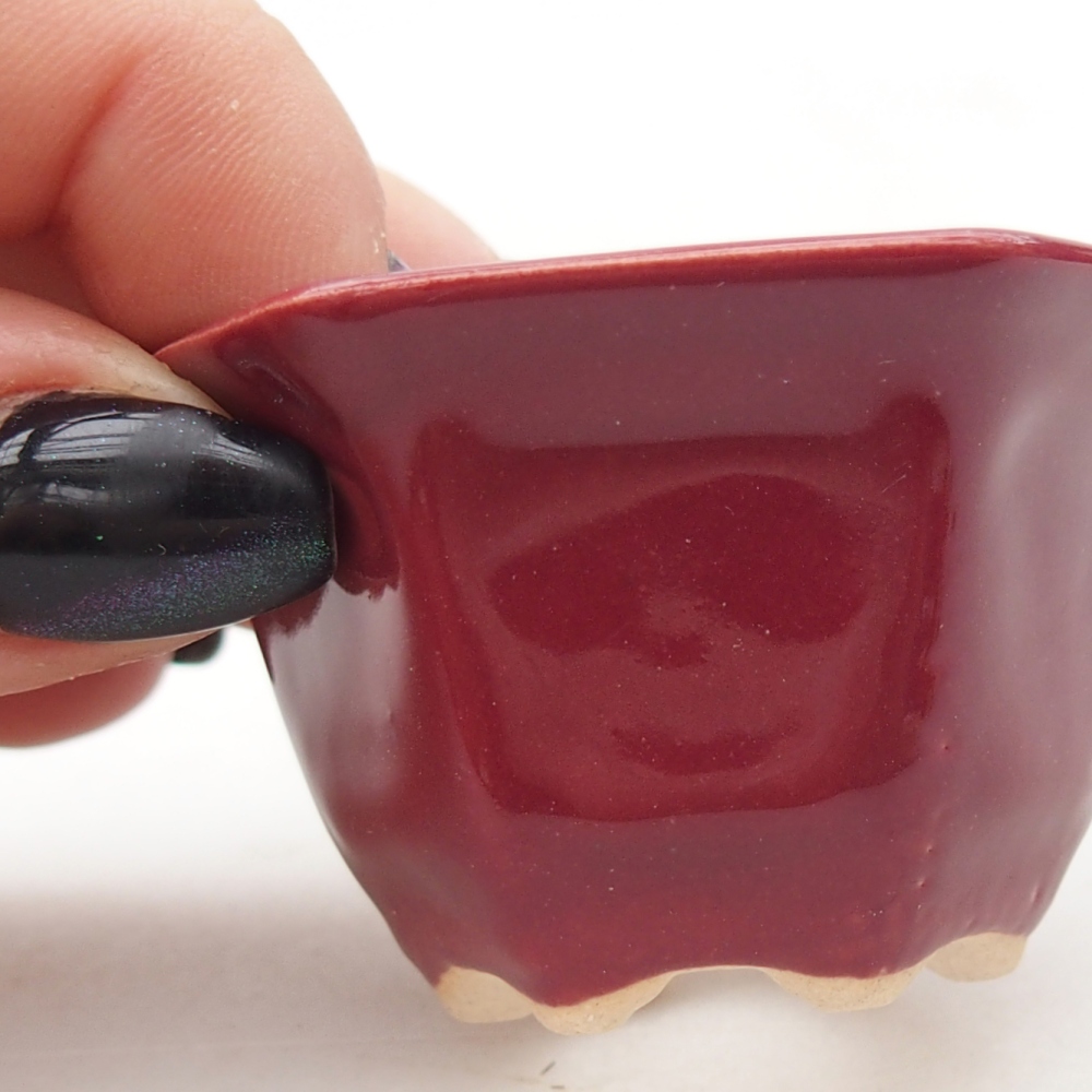 Mini bol bonsaï 5,5 x 5 x 3 cm, bordeaux
