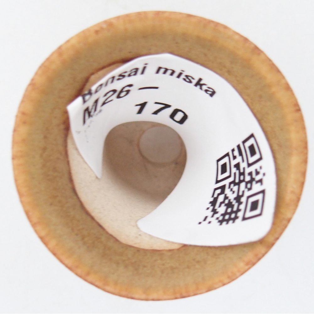 Mini bol à bonsaï 3 x 3 x 3,5 cm, brun