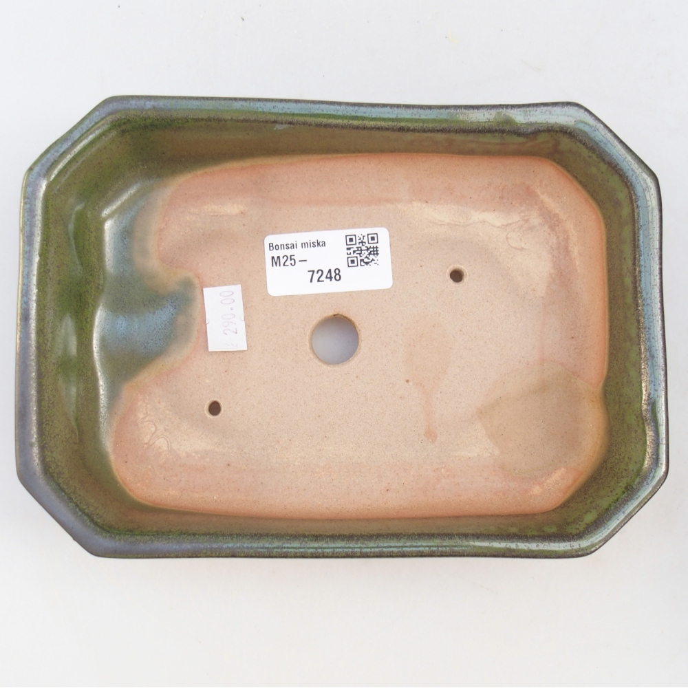 Bol à bonsaï en céramique 19 x 13 x 4 cm, vert