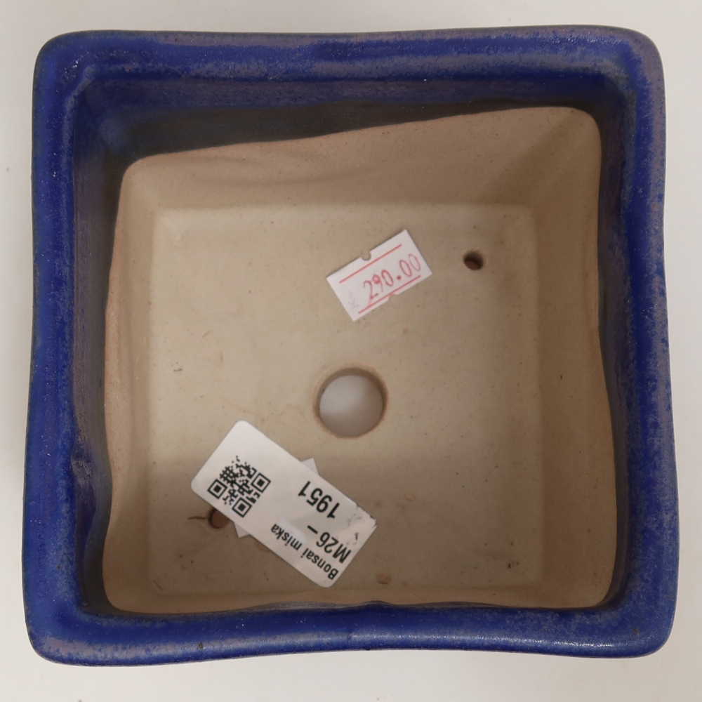 Pot à bonsaï en céramique 11 x 11 x 8,5 cm, couleur bleue