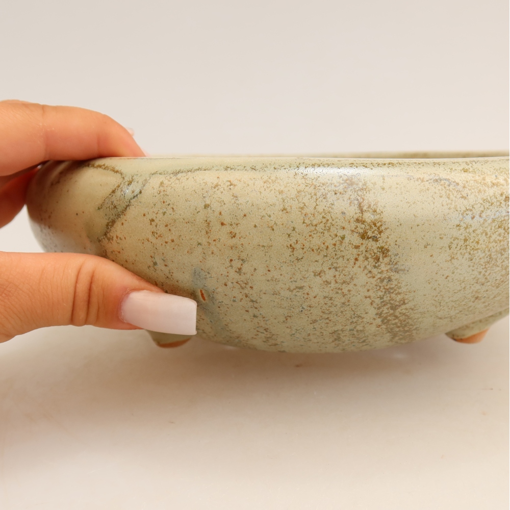 Pot à bonsaï en céramique 20,5 x 20,5 x 7 cm, couleur verte